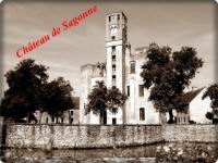 Sagonne, Chateau, Vue generale (2)